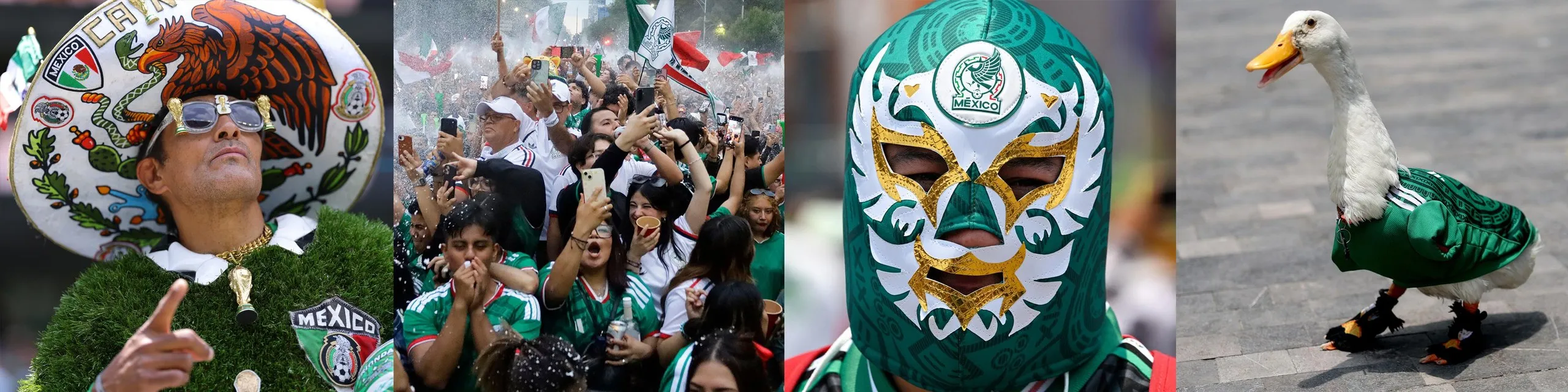 Mexico fans