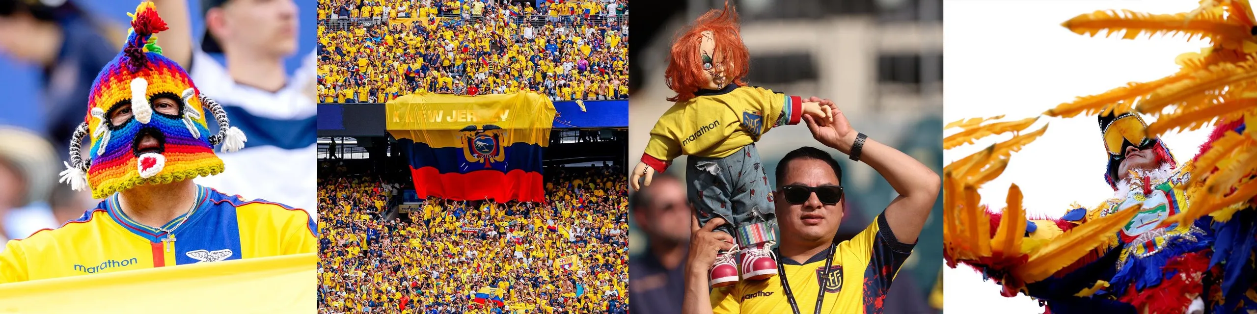 Ecuador fans
