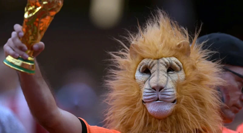Football Daily | Animal instinct and maths boost Netherlands’ hopes of World Cup glory