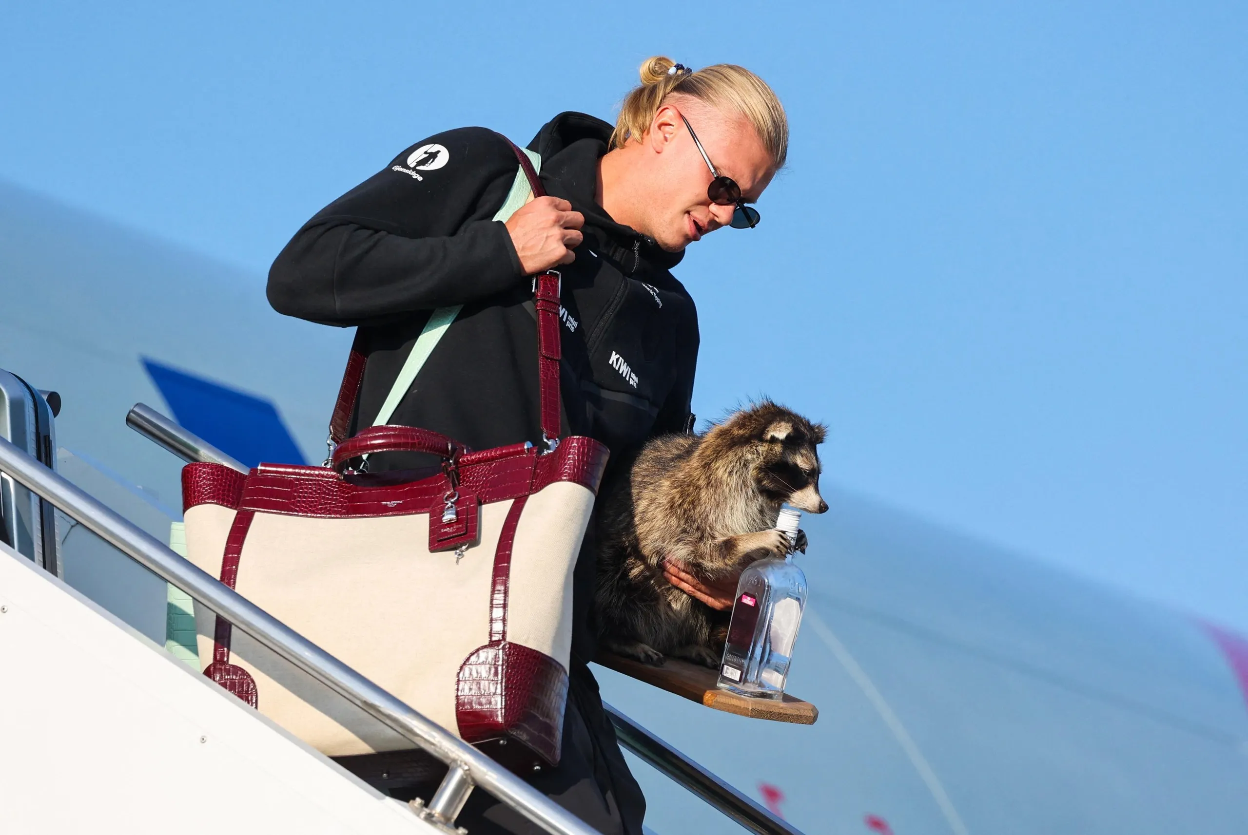 Erling Haaland carries a taxidermy raccoon as he gets off the plane in Oslo